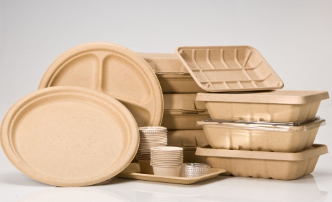 Food Packaging Container